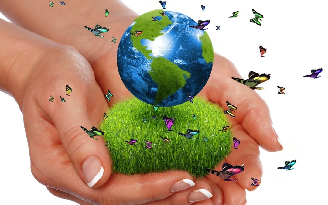 Ayudemos al planeta practicando hábitos de reciclaje sencillos y saludables en 2018 Ayudemos al planeta practicando hábitos de reciclaje sencillos y saludables en 2018