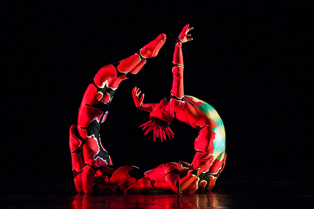 EVENTO LOCAL: Ballet Arizona y Desert Botanical Garden presentan “Momix’s Opus Cactus” EVENTO LOCAL: Ballet Arizona y Desert Botanical Garden presentan “Momix’s Opus Cactus”