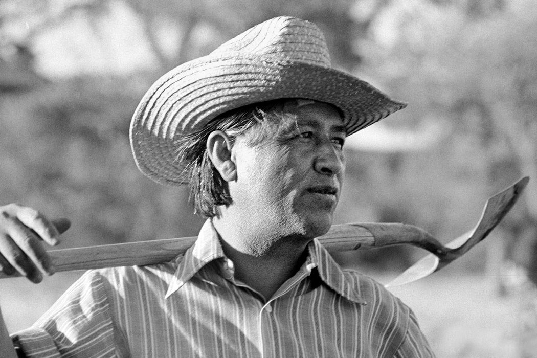REPORTAJE ESPECIAL/MEDIO AMBIENTE: Cesar Chávez también fue un gran defensor de la naturaleza REPORTAJE ESPECIAL/MEDIO AMBIENTE: Cesar Chávez también fue un gran defensor de la naturaleza