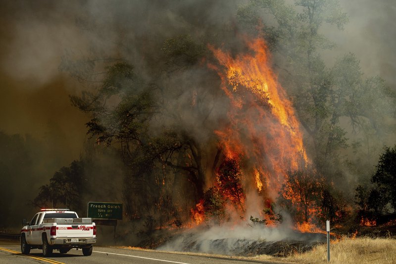 Cambio climático agrava olas de calor e incendios forestales Cambio climático agrava olas de calor e incendios forestales