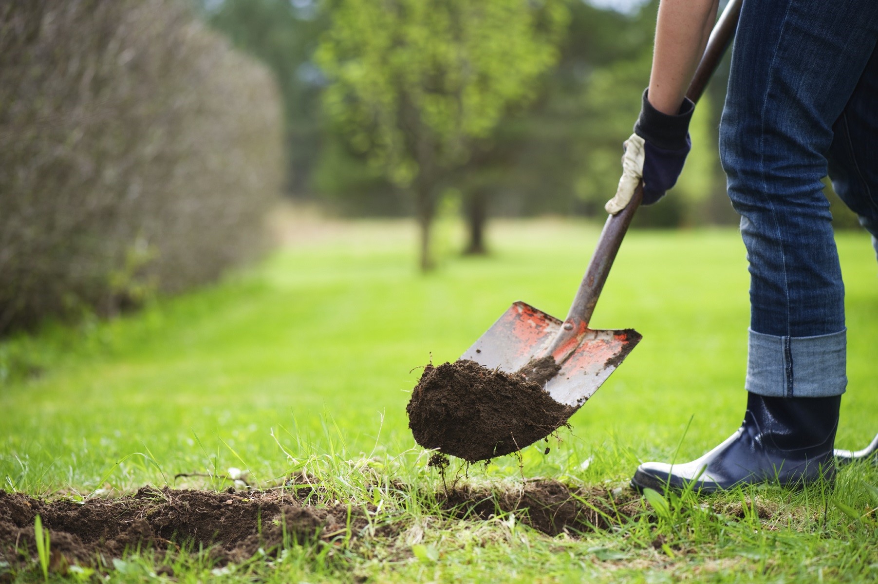 Compañías de servicios públicos locales advierten sobre los peligros de excavar en lineas de servicios públicos Compañías de servicios públicos locales advierten sobre los peligros de excavar en lineas de servicios públicos
