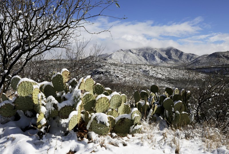 Ola de frío azota Arizona y otros estados del Oeste de los Estados Unidos Ola de frío azota Arizona y otros estados del Oeste de los Estados Unidos