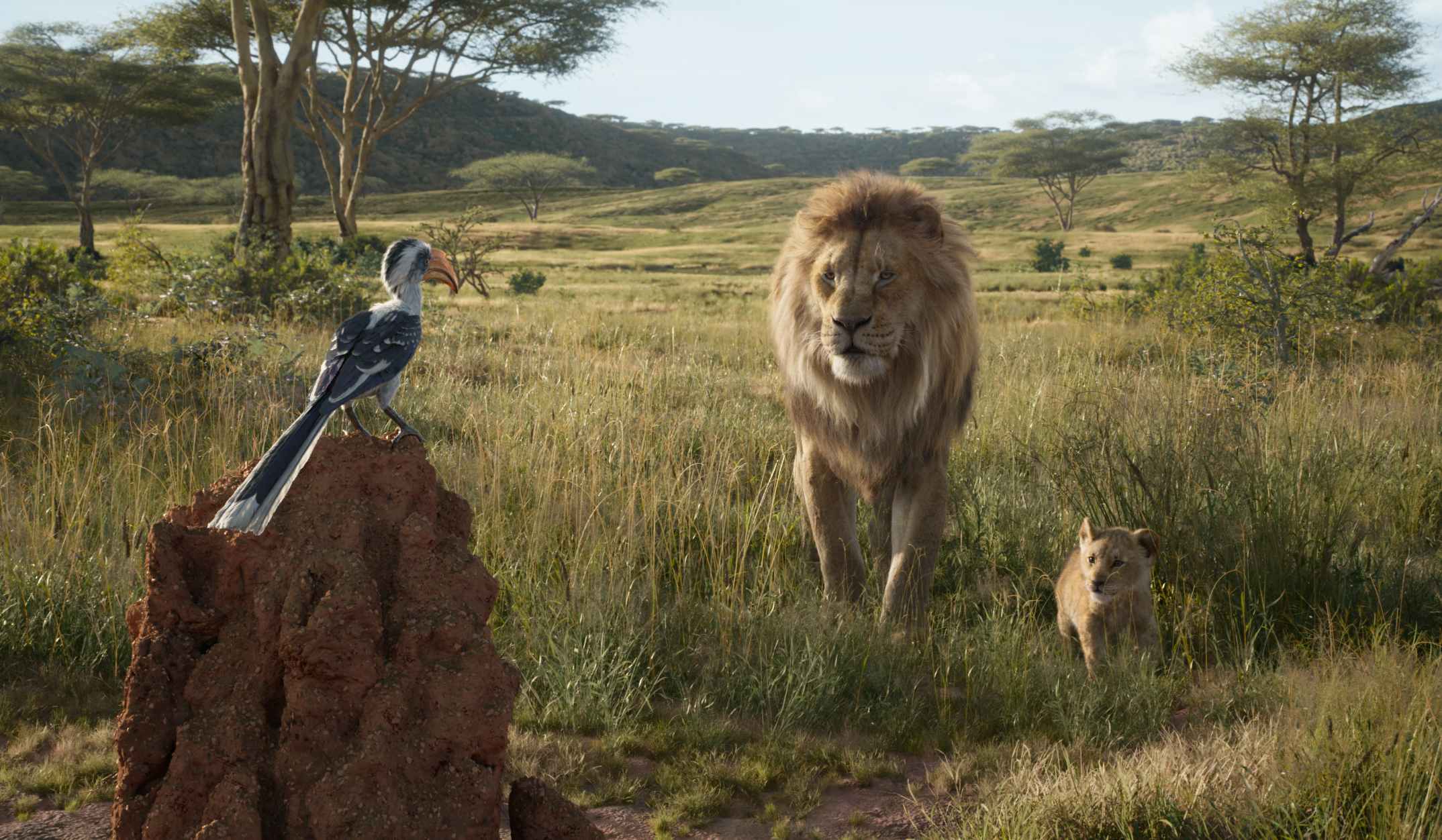 The Lion King, un regreso a la pradera que nos recuerda el valor del amor, la lealtad y la familia The Lion King, un regreso a la pradera que nos recuerda el valor del amor, la lealtad y la familia