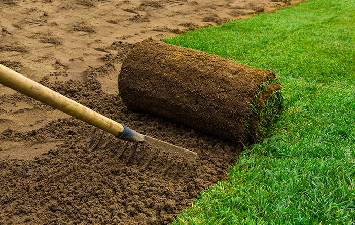 Siembre nuevamente el cesped para el invierno sin contaminar el aire